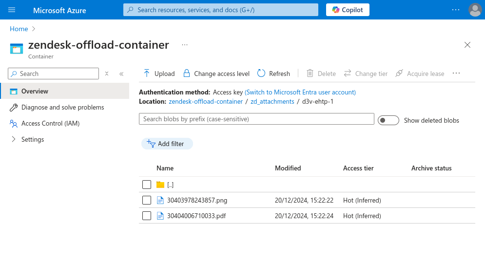 Screenshot of the Azure Storage Container showing the extracted files